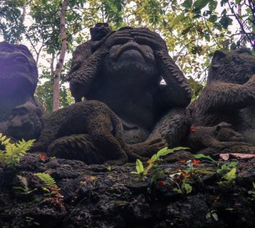things to do around Ubud, Bali, Indonesia monkey sanctuary