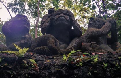 things to do around Ubud, Bali, Indonesia monkey sanctuary