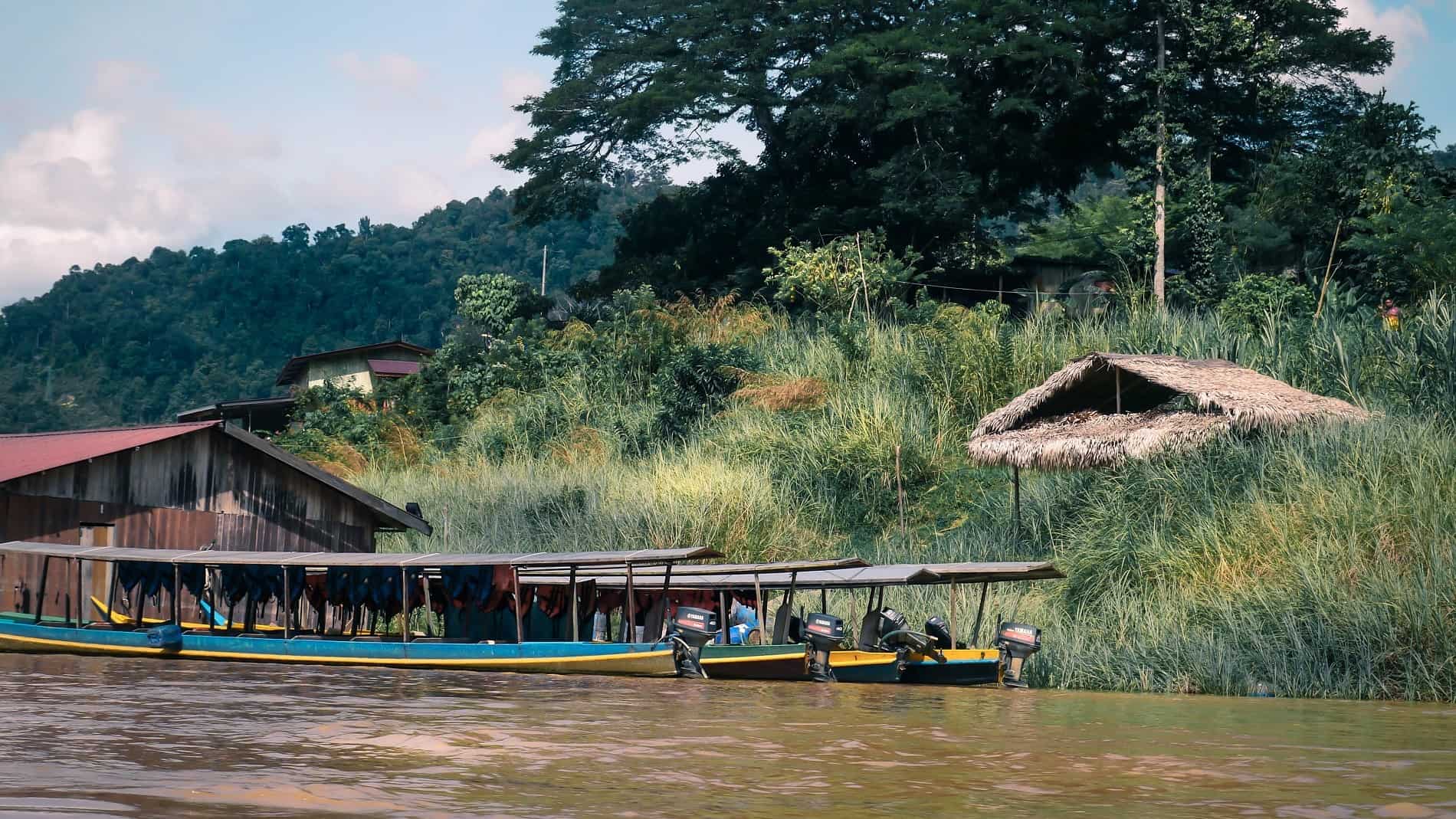 Taman Negara Malaysia jungle boat ride
