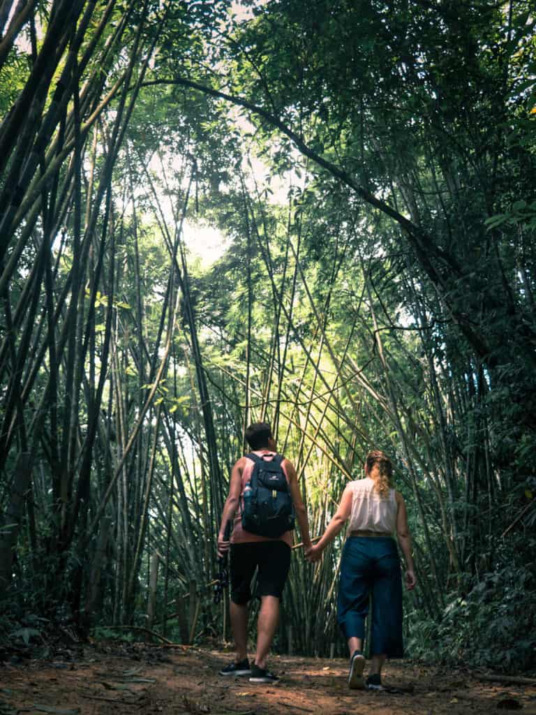 A walk in the jungle in Khao Sok National Park