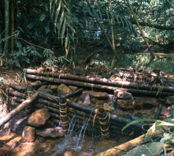 Khao Sok National park in the rainy season