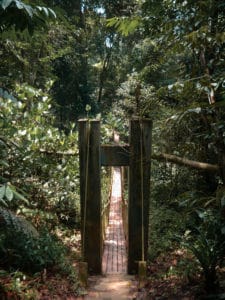 The gate to the jungle in Taman Negara
