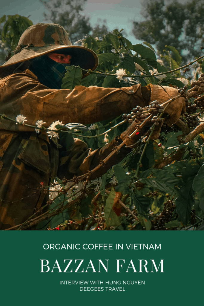 Organic Coffee in Vietnam - Bazzan Farm in Gia Lai