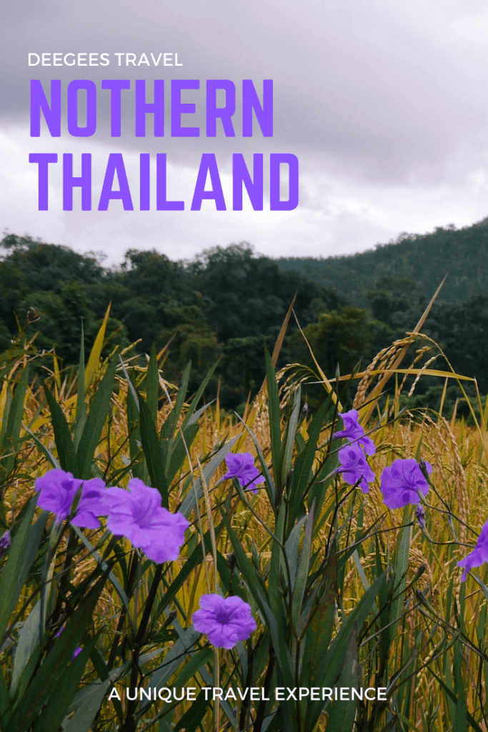 Northern Thailand Itinerary: Pai - review of things to do to help you decide whether this is something worth visiting for you