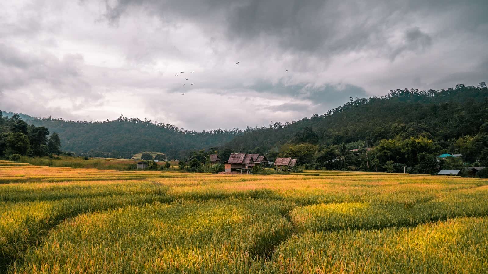 things to do in Pai Northern Thailand