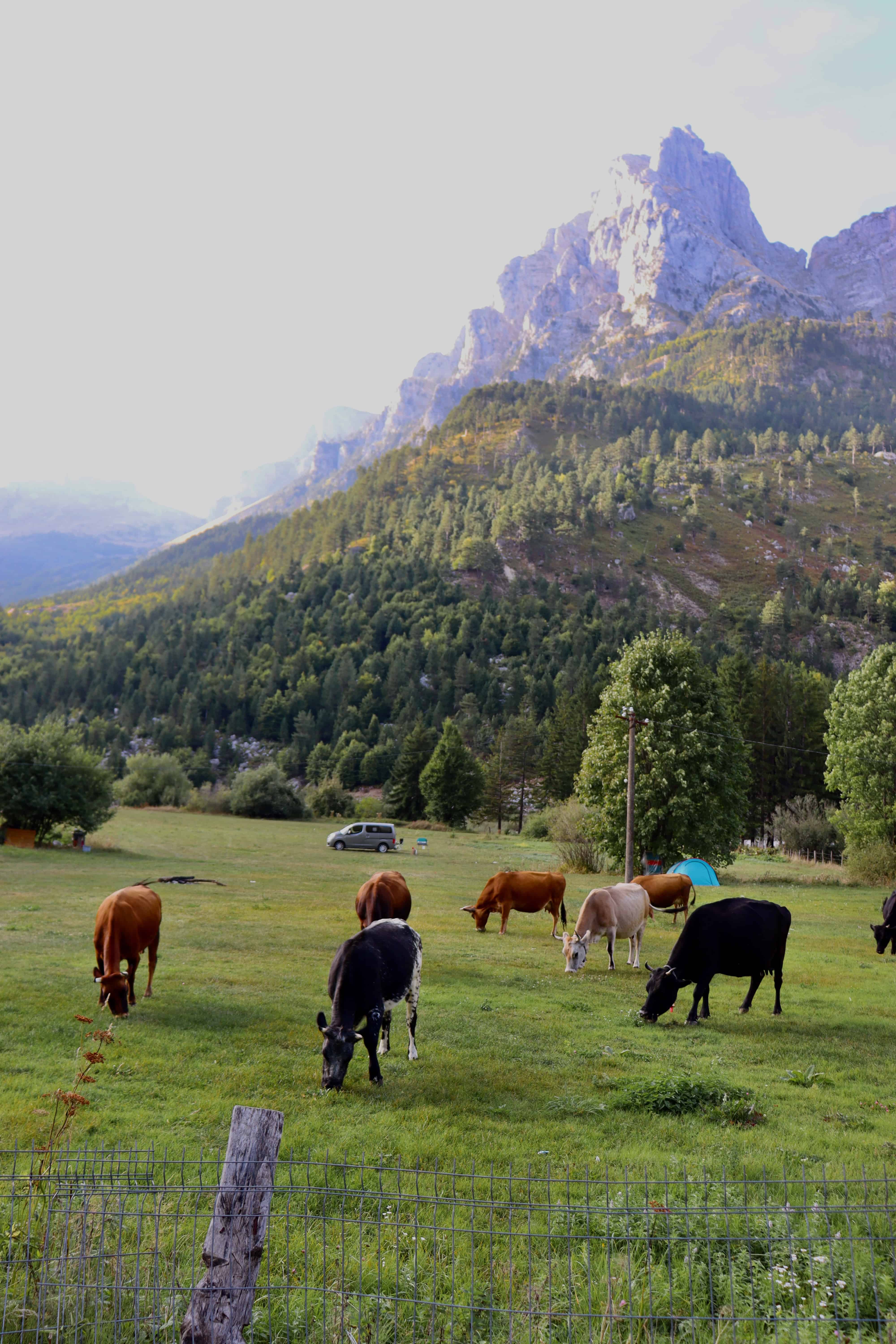 Staying in Valbona Valley National Park
