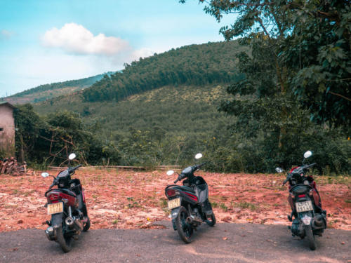 Bach Ma National Park leaning motorbikes before Elephant Springs entrance