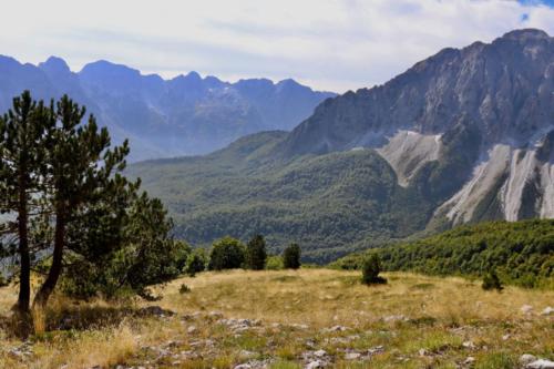 Meadows in Albanian Alps