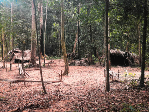An abandonded aboriginal village in the jungle